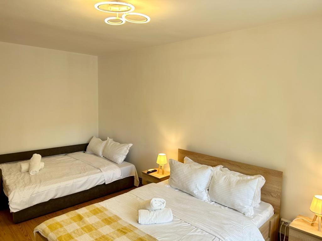 Jad - Family - Apartments - Zorilor Brasov Ngoại thất bức ảnh