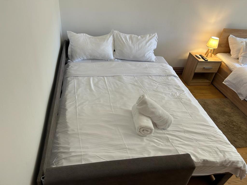 Jad - Family - Apartments - Zorilor Brasov Ngoại thất bức ảnh