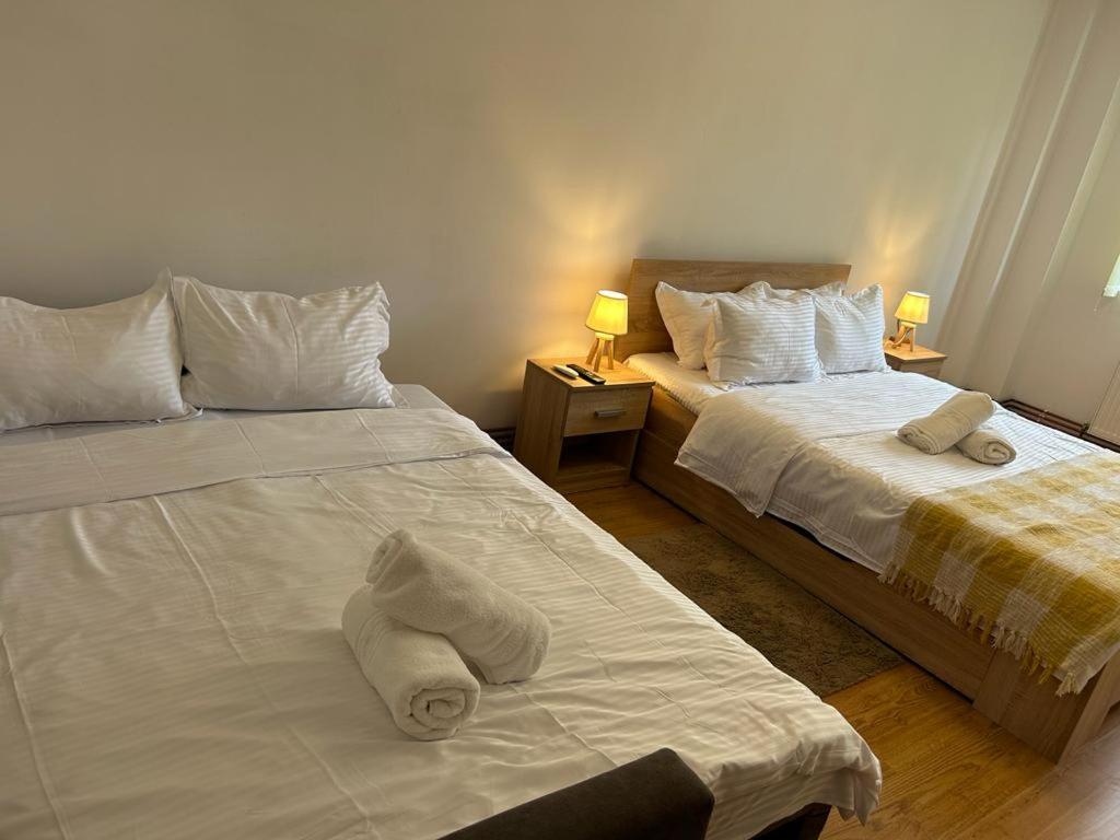 Jad - Family - Apartments - Zorilor Brasov Ngoại thất bức ảnh