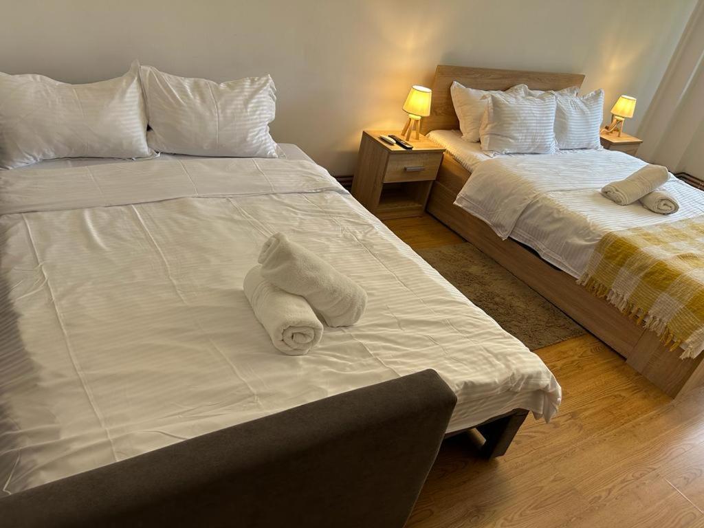 Jad - Family - Apartments - Zorilor Brasov Ngoại thất bức ảnh