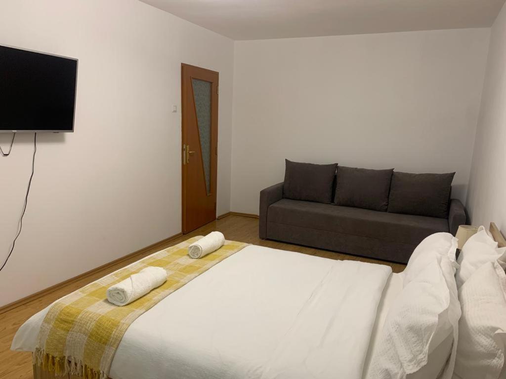 Jad - Family - Apartments - Zorilor Brasov Ngoại thất bức ảnh