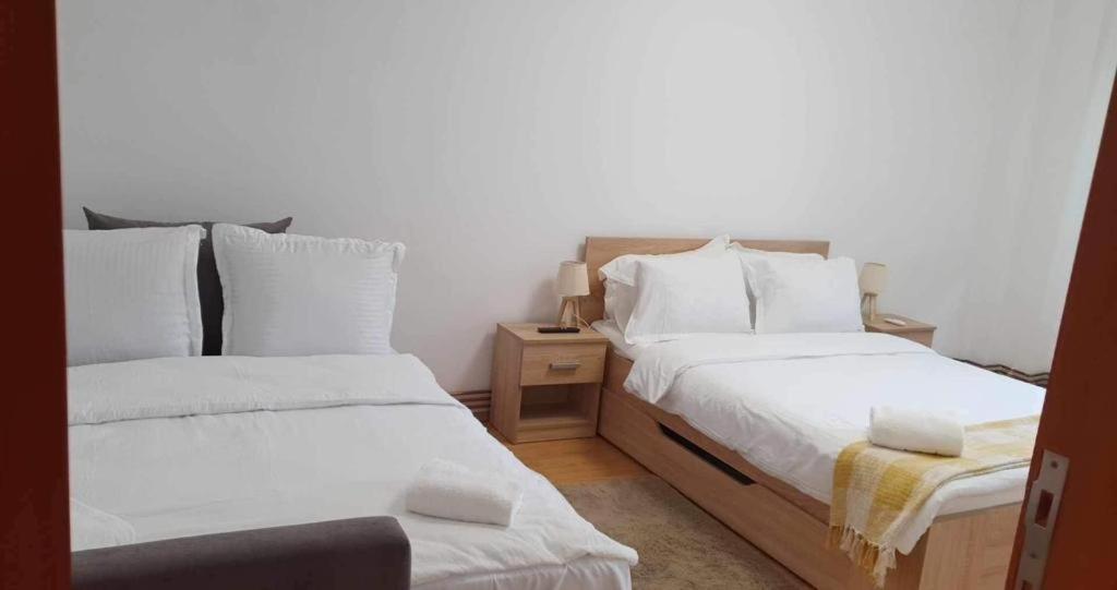 Jad - Family - Apartments - Zorilor Brasov Ngoại thất bức ảnh